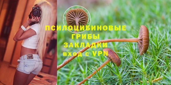 гашиш Болхов