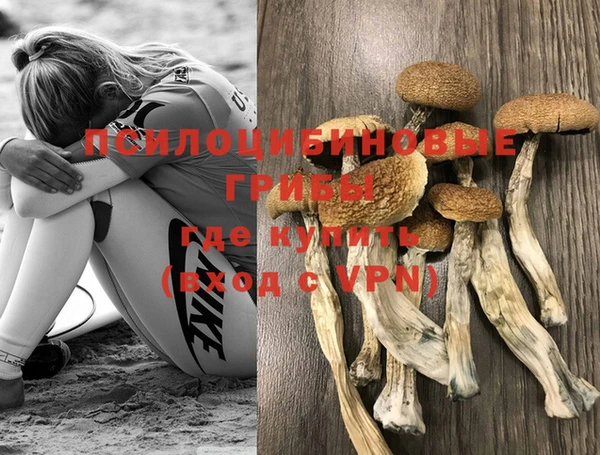 spice Болохово