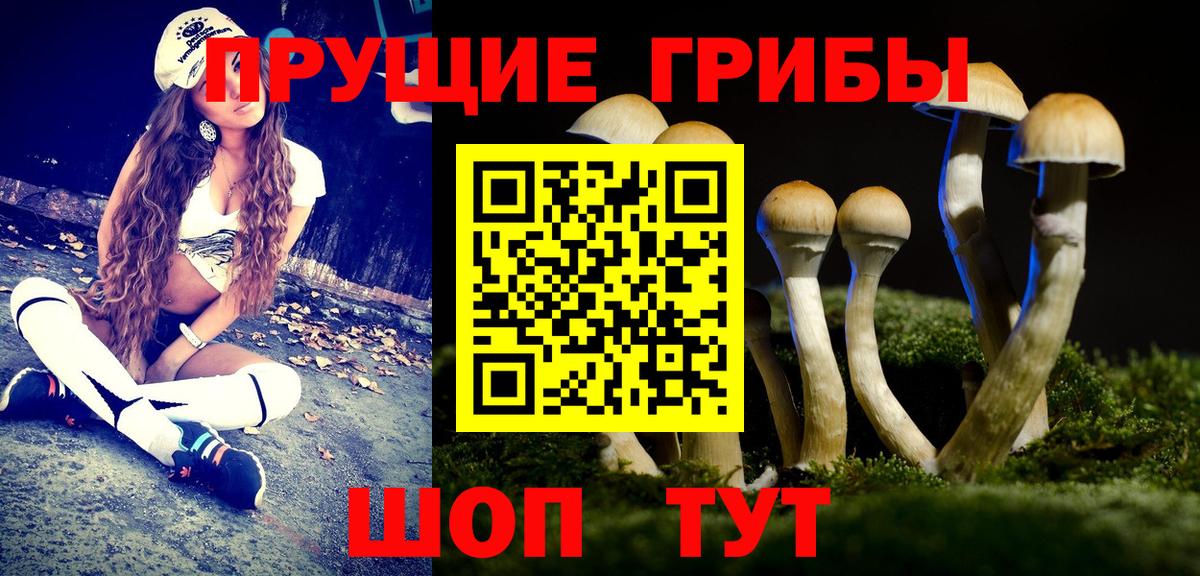 Лыткарино  Галлюциногенные грибы мухоморы  Вход с VPN 
